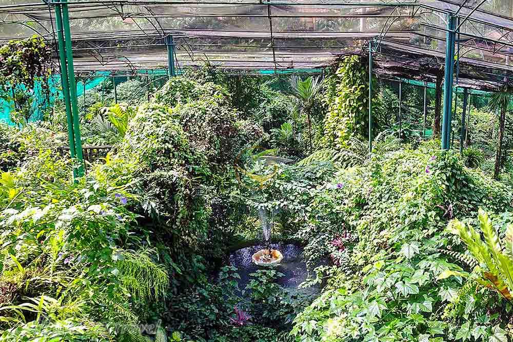 پارک پروانه کوالالامپور در مالزی | علاءالدین تراول