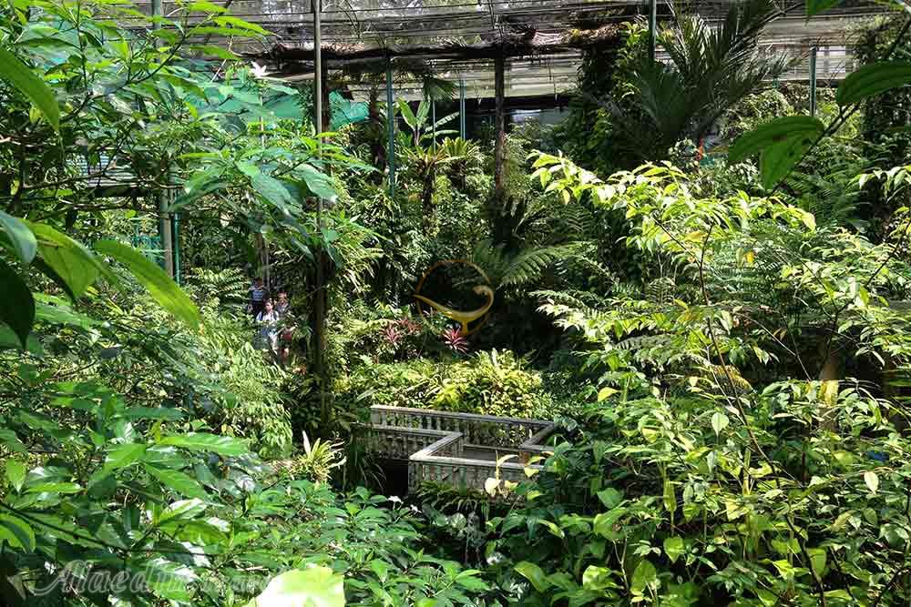 پارک پروانه کوالالامپور در مالزی | علاءالدین تراول