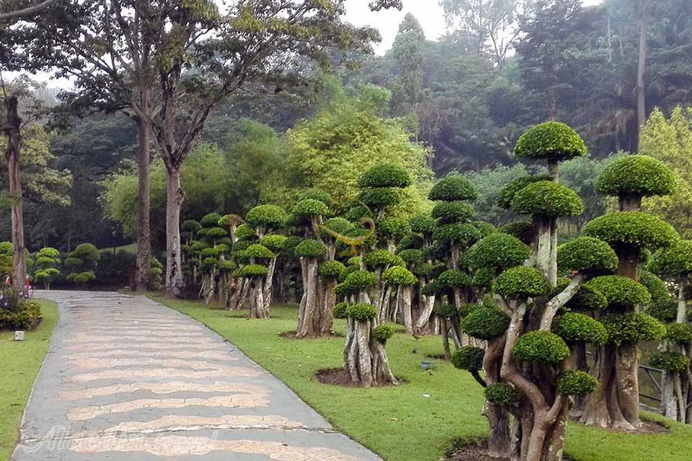 باغ دریاچه کوالالامپور در مالزی | علاءالدین تراول