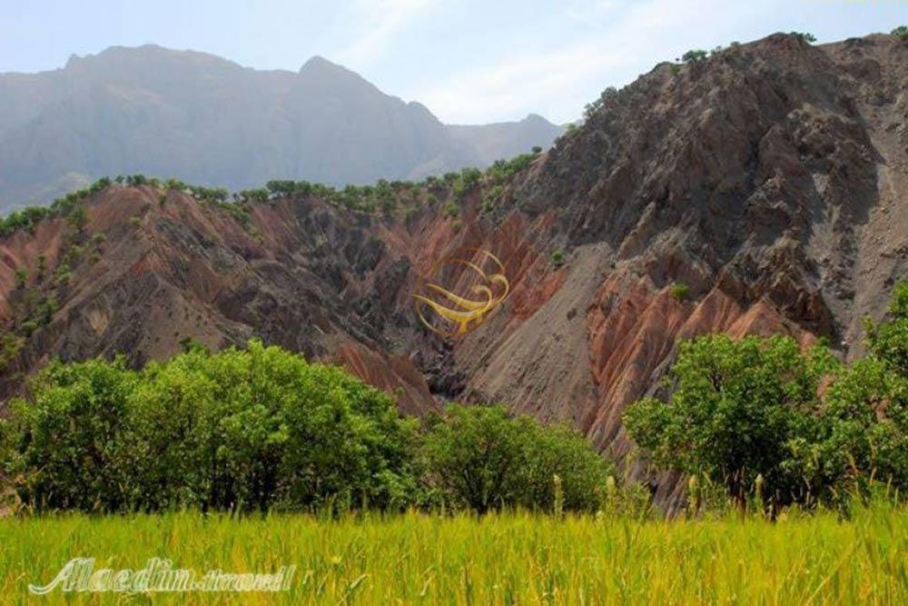 دامنه های زردکوه کوهرنگ | علاءالدین تراول