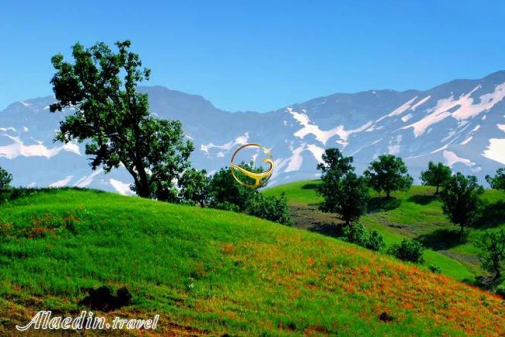 دامنه های زردکوه کوهرنگ | علاءالدین تراول