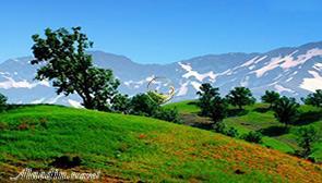 دامنه های زرد کوه کوهرنگ