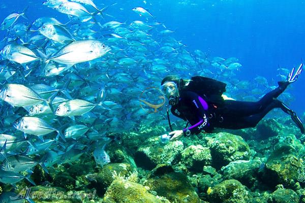 غواصی در دریای اژه در کوش آداسی | علاءالدین تراول