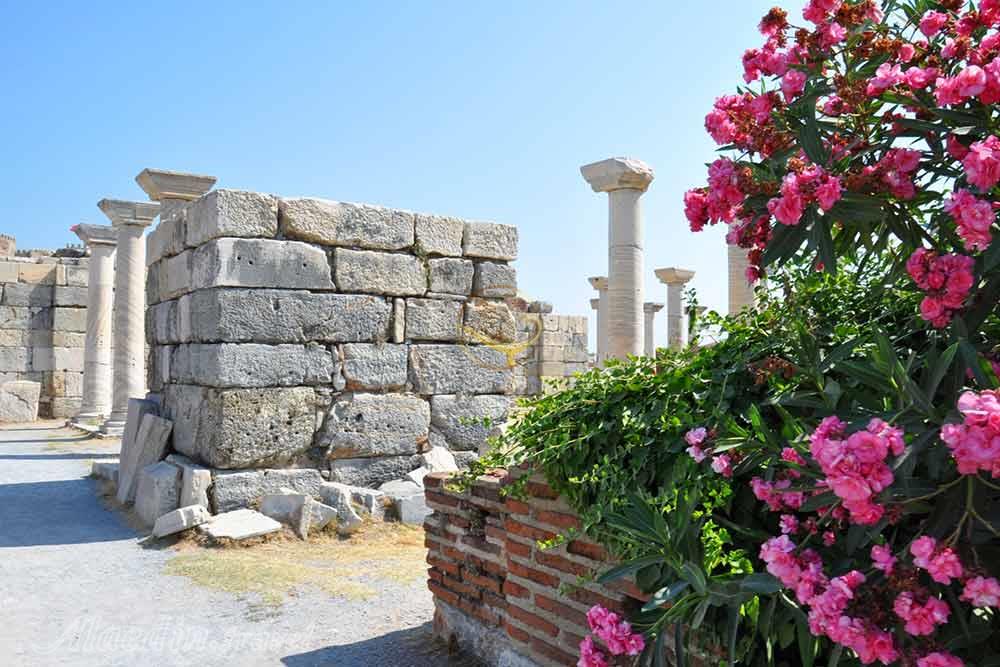 کلیسای سنت جان در کوش آداسی - ترکیه | علاءالدین تراول