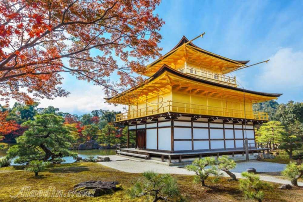 معبد کیناکوجی کیوتو - ژاپن | علاءالدین تراول