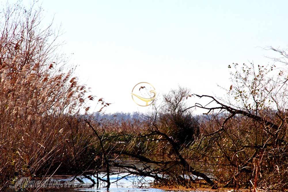 تالاب امیرکلایه لاهیجان | علاءالدین تراول