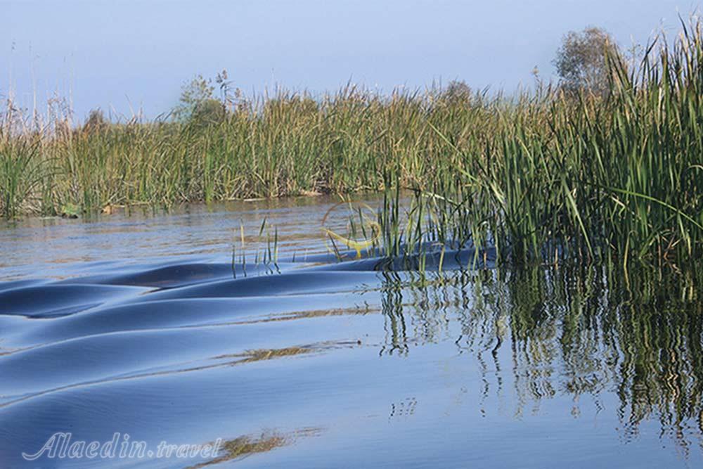 تالاب امیرکلایه لاهیجان | علاءالدین تراول