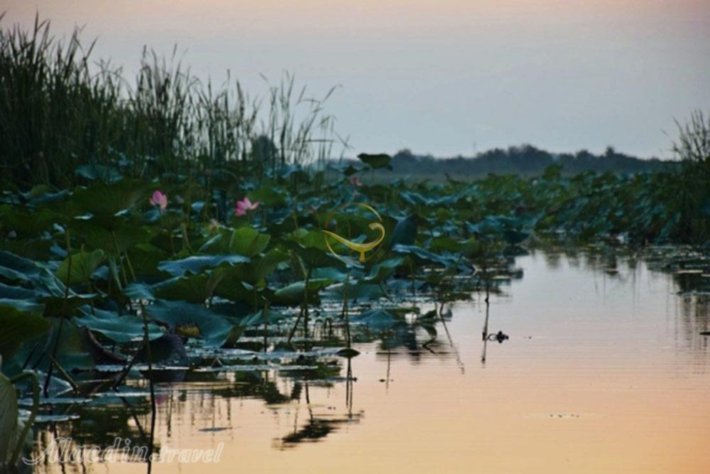 تالاب امیرکلایه لاهیجان | علاءالدین تراول