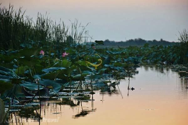 تالاب امیرکلایه لاهیجان