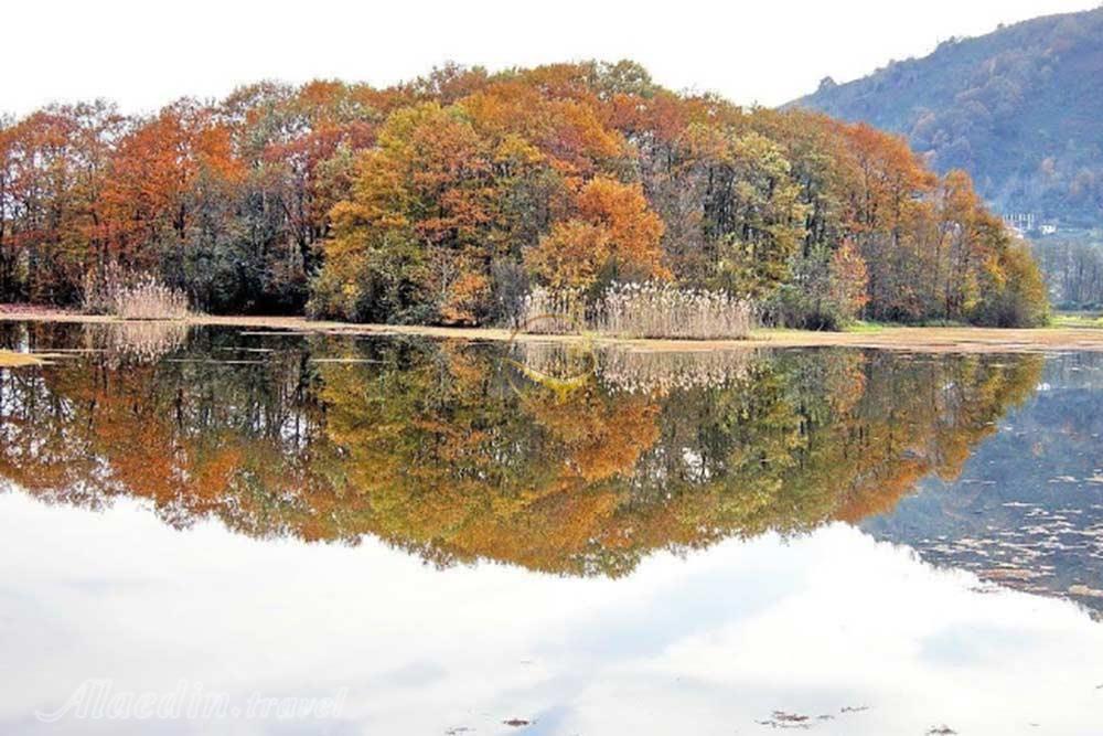 تالاب سوستان در لاهیجان | علاءالدین تراول