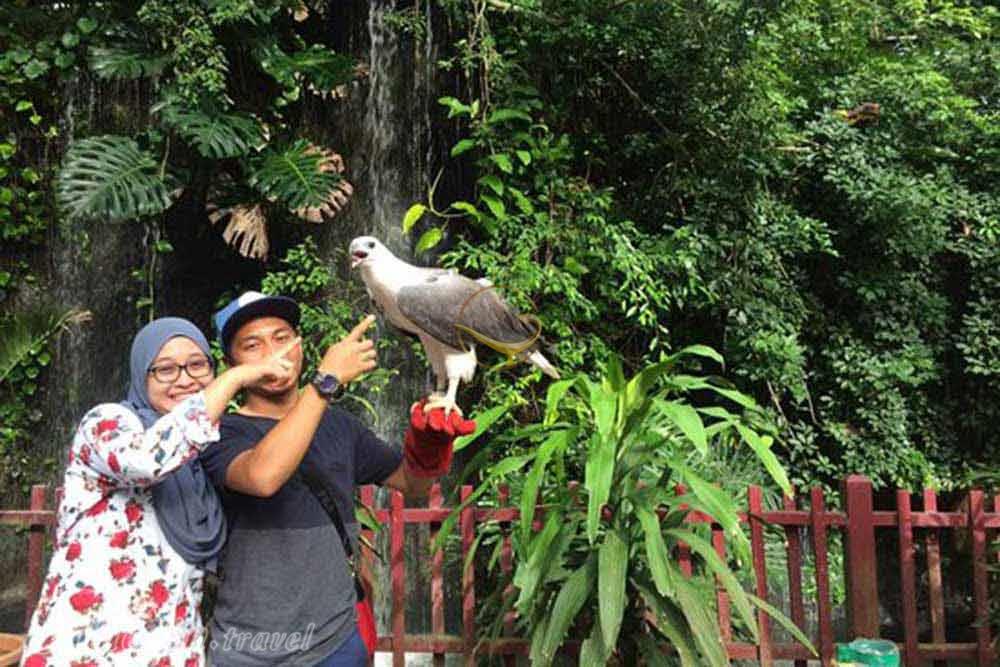 پارک حیات وحش و بهشت پرندگان لنکاوی - مالزی | علاءالدین تراول
