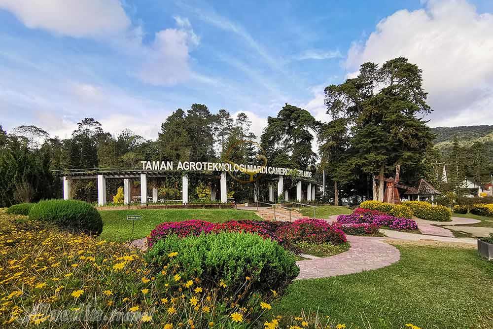 پارک تکنولوژی ماردی آرگو لنکاوی | علاءالدین تراول