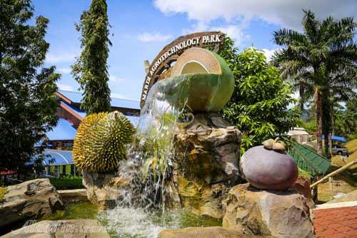 پارک تکنولوژی ماردی آرگو لنکاوی - مالزی
