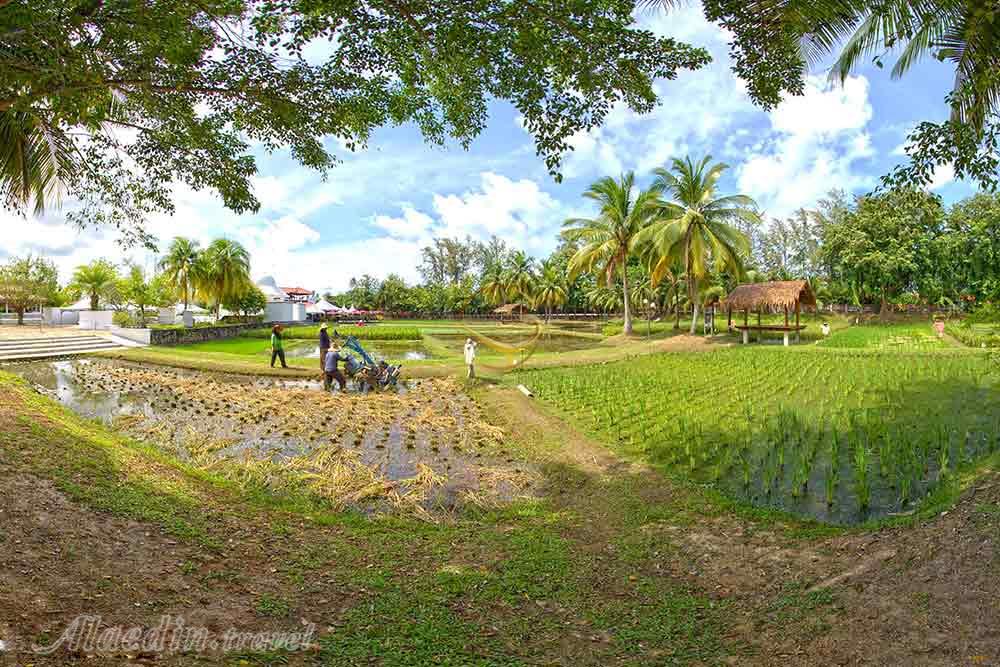 موزه برنج لامان پادی لنکاوی - مالزی | علاءالدین تراول