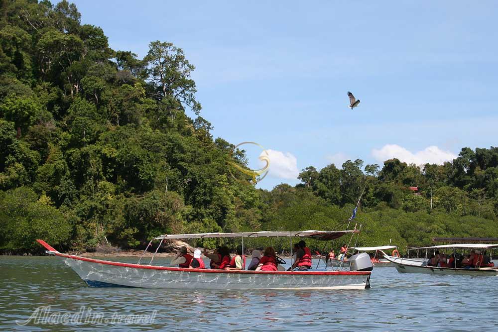 جزیره پولائو سینگا بسار لنکاوی | علاءالدین تراول