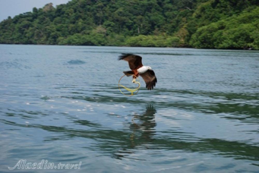 جزیره پولائو سینگا بسار لنکاوی | علاءالدین تراول