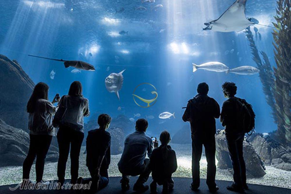 آکواریوم بزرگ لیسبون - پرتغال | علاءالدین تراول