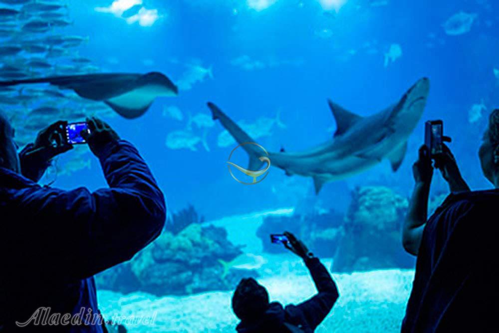 آکواریوم بزرگ لیسبون - پرتغال | علاءالدین تراول