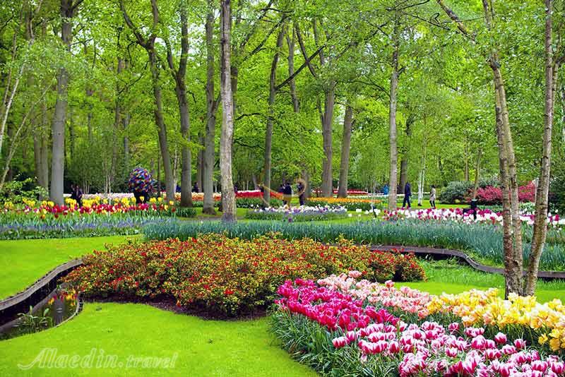 باغ گل کوکنهوف در لیسه هلند | علاءالدین تراول