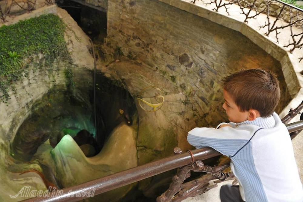 باغ یخچال لوسرن - سوئیس | علاءالدین تراول