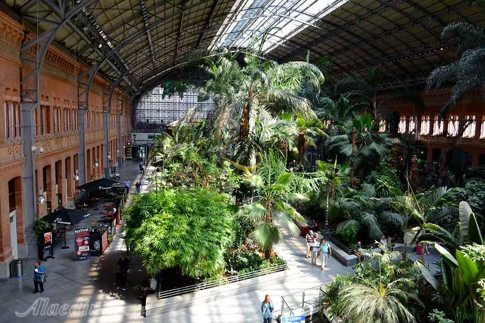 میدان آتوچا در مادرید - اسپانیا | علاءالدین تراول