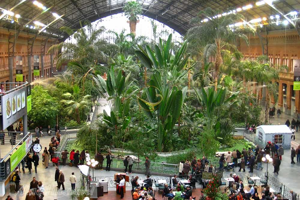 میدان آتوچا در مادرید - اسپانیا | علاءالدین تراول