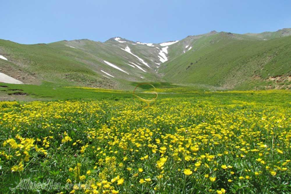 منطقه حفاظت شده انگوران در ماه نشان | علاءالدین تراول