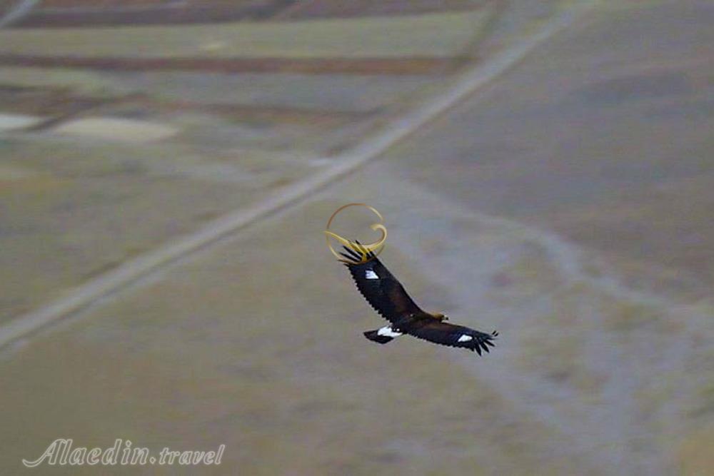 منطقه حفاظت شده لشگر (لشگردر) در ملایر | علاءالدین تراول