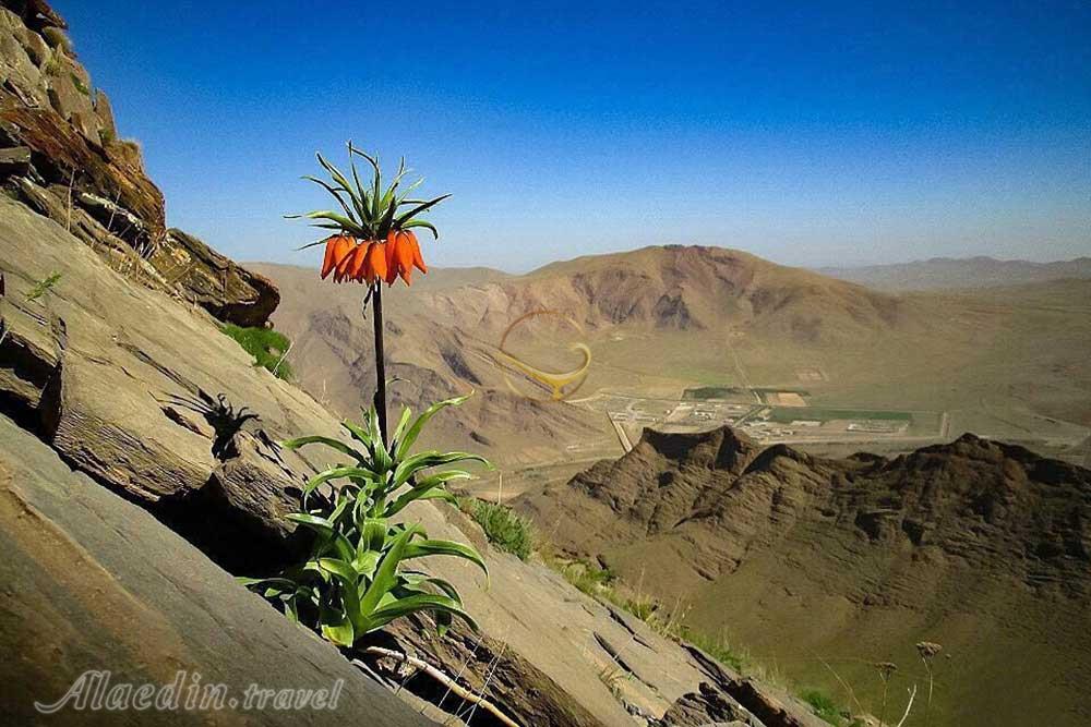 منطقه حفاظت شده لشگر (لشگردر) در ملایر | علاءالدین تراول