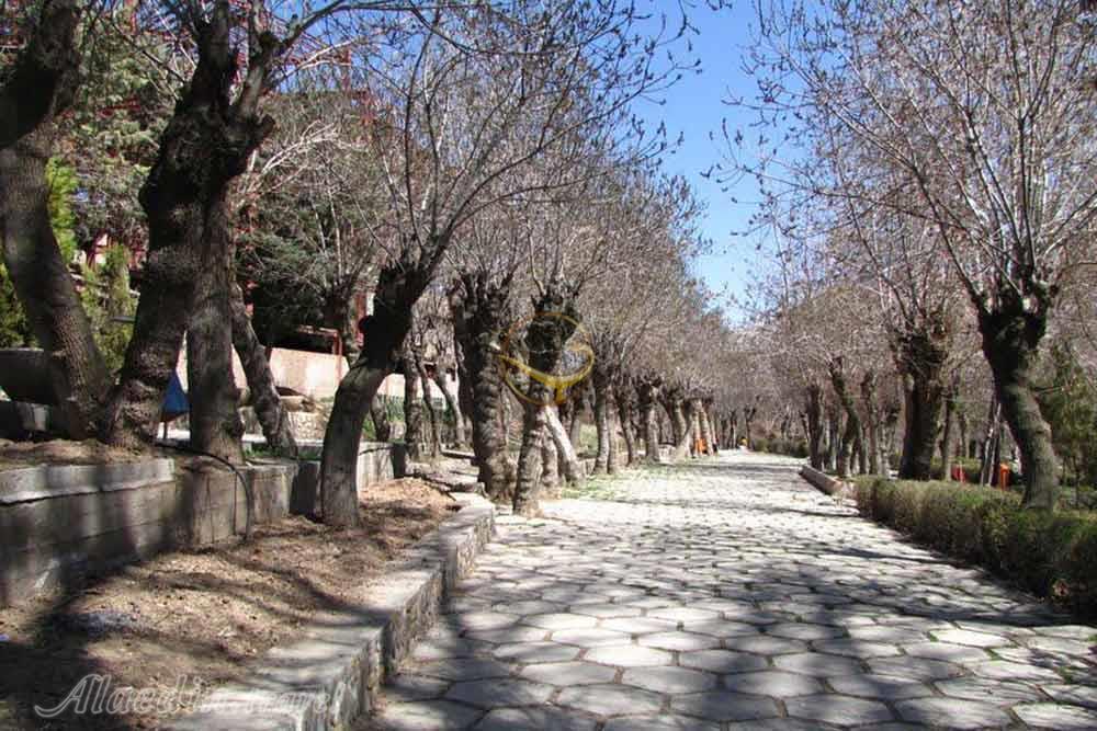 پارک جنگلی سیفیه در ملایر | علاءالدین تراول