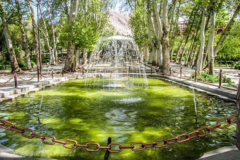 پارک جنگلی سیفیه در ملایر | علاءالدین تراول