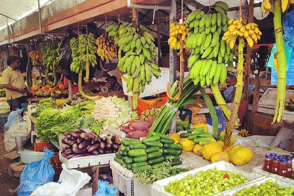 بازار محلی ماله - مالدیو | علاءالدین تراول