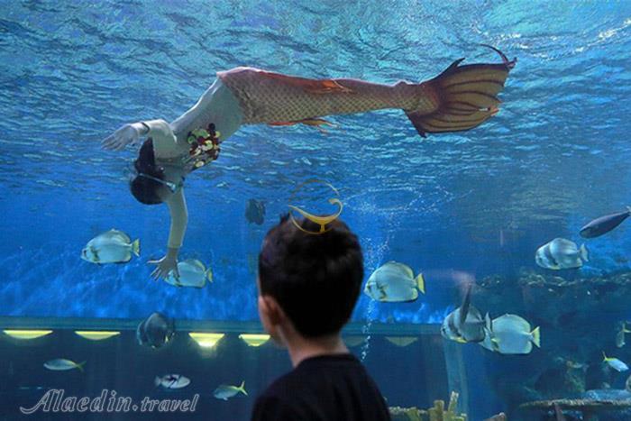 پارک اقیانوس مانیل - فیلیپین