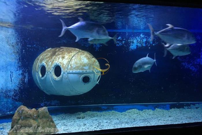 پارک اقیانوس مانیل - فیلیپین