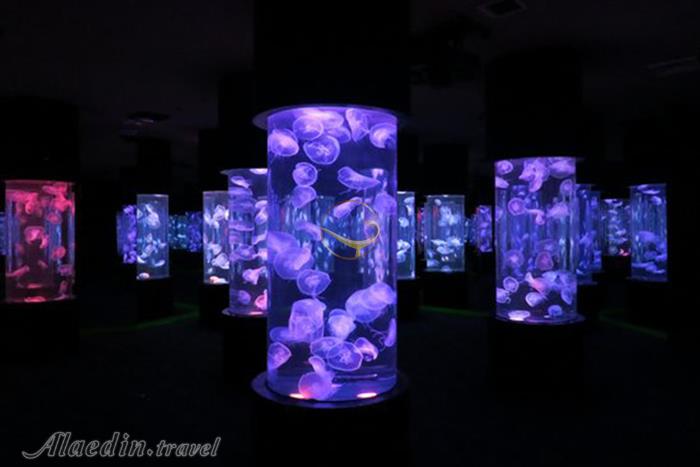 پارک اقیانوس مانیل - فیلیپین