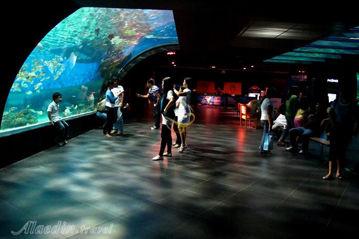 پارک اقیانوس مانیل - فیلیپین