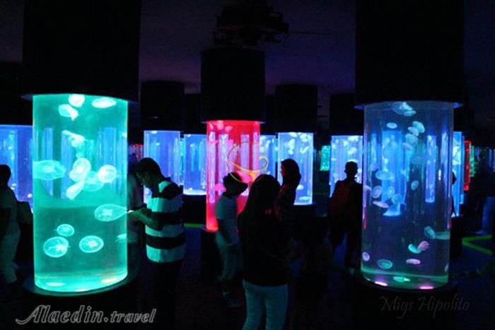 پارک اقیانوس مانیل - فیلیپین