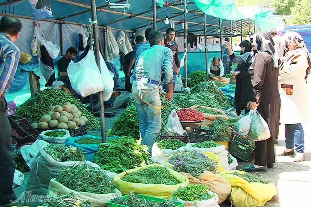 بازار سبزیجات مراغه | علاءالدین تراول