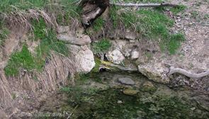 چشمه آب گرم ایستی بلاغ مراغه