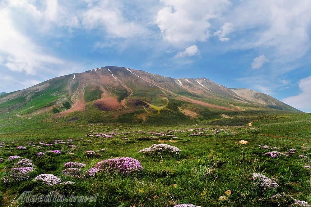 کوه سهند در مراغه | علاءالدین تراول