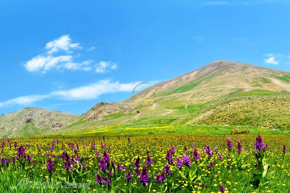 کوه سهند در مراغه | علاءالدین تراول