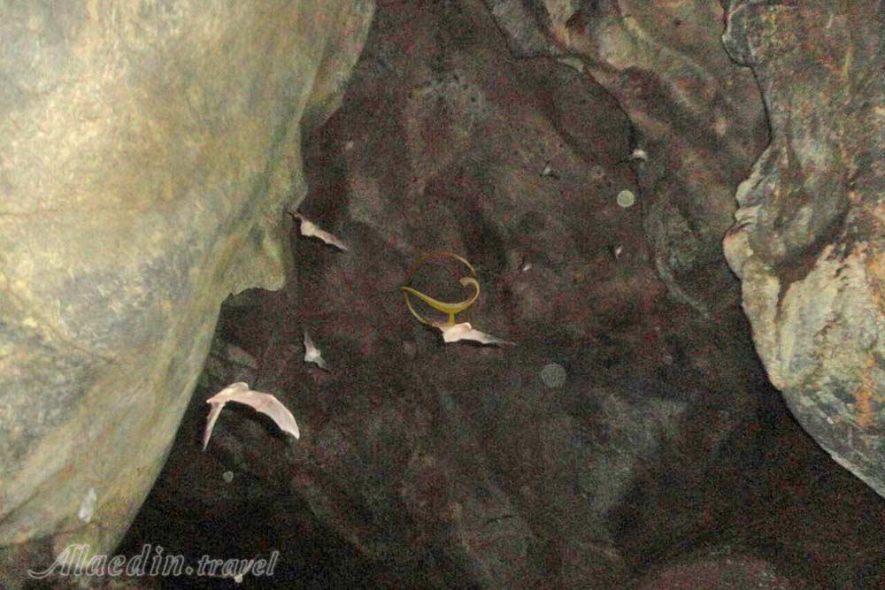 غار کونا شم شم مریوان | علاءالدین تراول