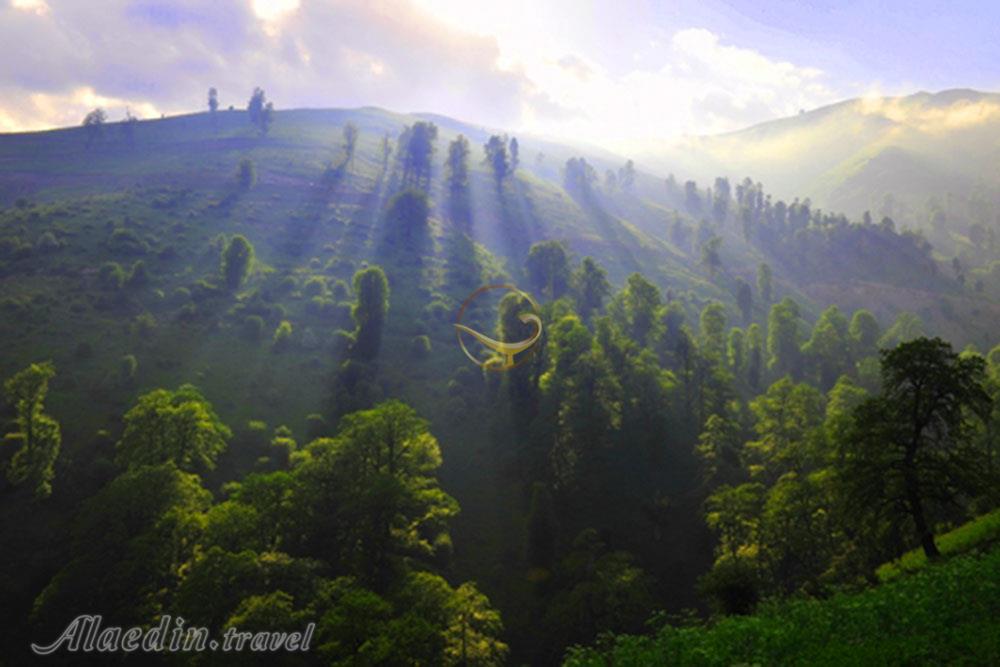 ییلاق آلاله پشته ماسال | علاءالدین تراول