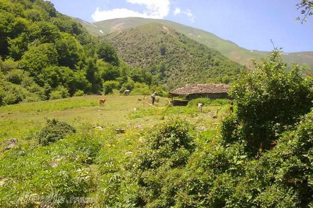 ییلاق خشکه دریا ماسال | علاءالدین تراول