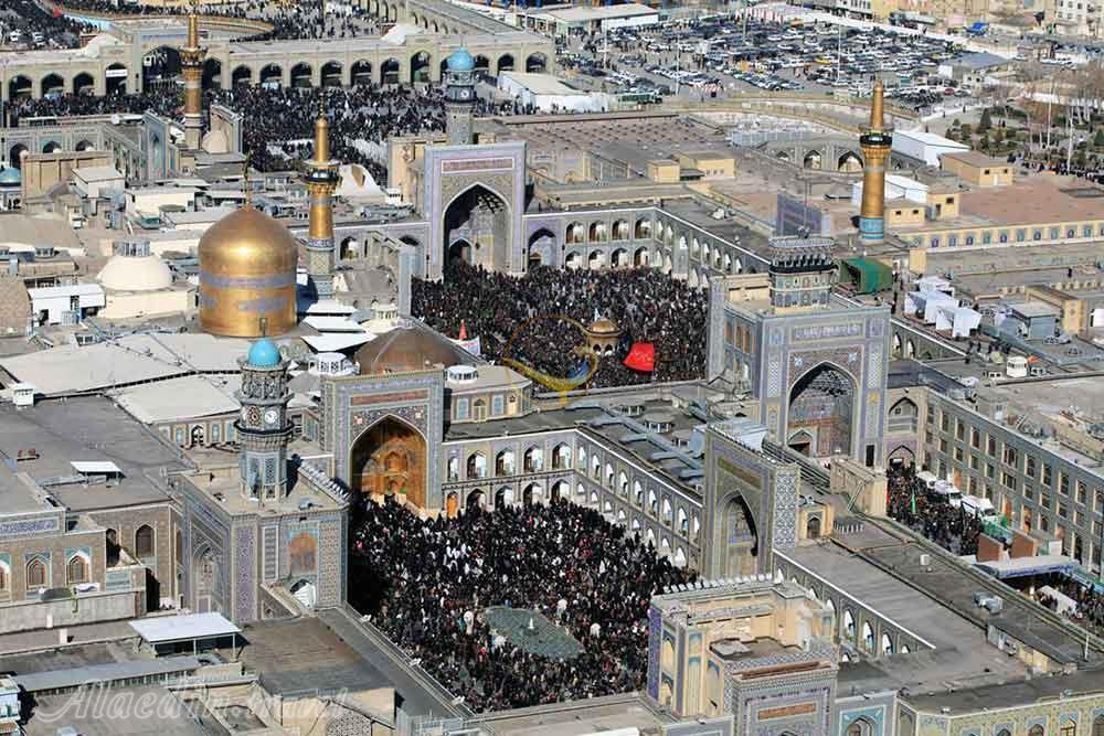 حرم امام رضا (ع) در مشهد | علاءالدین تراول