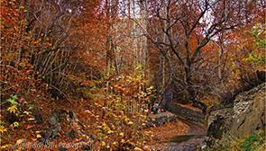 دره جاغرق در مشهد | علاءالدین تراول