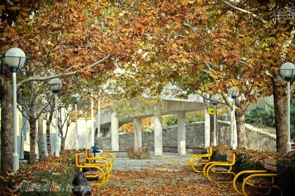 کوهسنگی مشهد | علاءالدین تراول