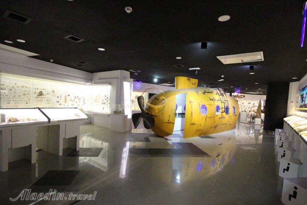 پارک پروفسور بازیما مشهد | علاءالدین تراول