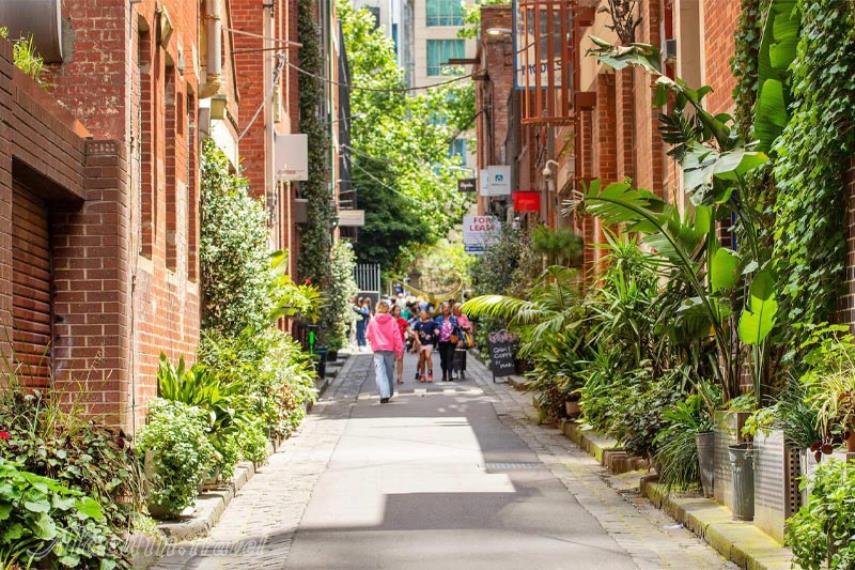 کوچه های مخفی مبلورن | علاالدین تراول