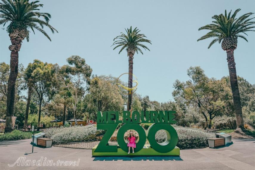 باغ وحش ملبورن | علاالدین تراول